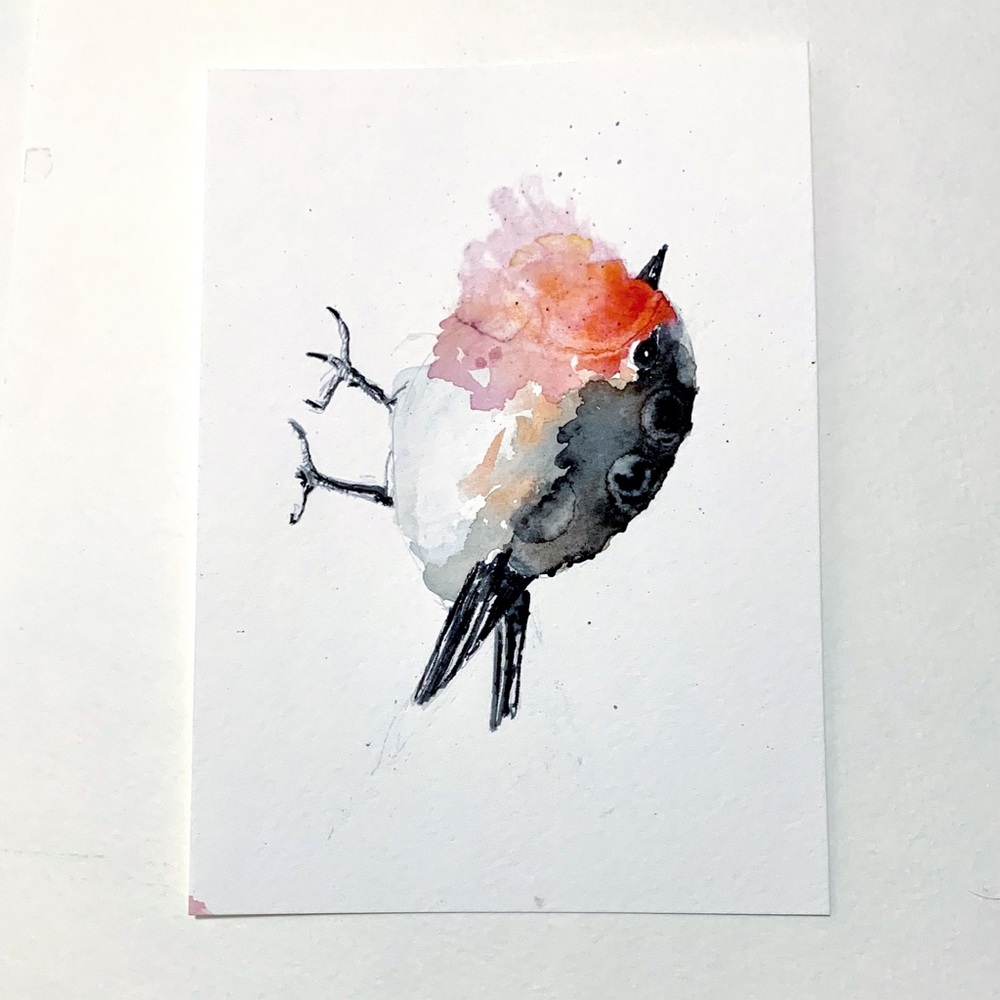 Cute Bird Watercolor Card🥀🐥